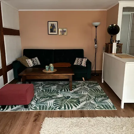 Altstadt & & Garten Haustiere Willkommen شقة نيوروبين